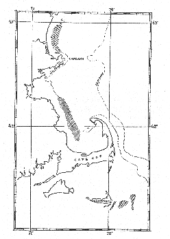 Chief spawing grounds of cod in the western side of the Gulf of Maine.