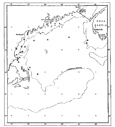 Locality records for squirrel hake eggs, and for larvae of rockling in the Gulf of Maine.