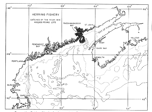 Distribution of the Gulf of Maine herring catch