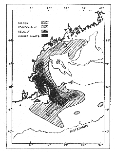 Average distribution of mackerel in the Gulf of Maine.